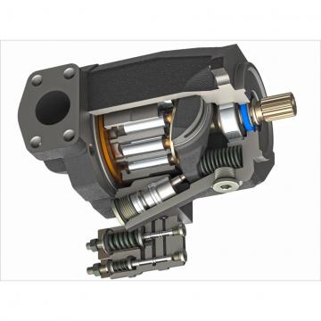 Pompa Idraulica per Sollevatore Trattori Fiat Rexroth Bosch Cod 84530154 5179714