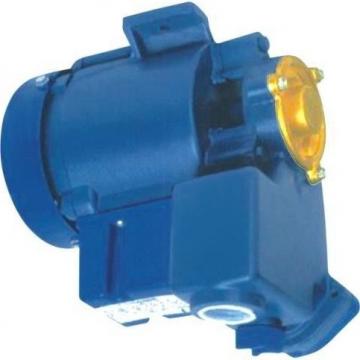 Hydraulikpumpe NACHI PVS-1B-22N2-U-2408P Piston Pump Hydraulikkolbenpumpe Pumpe