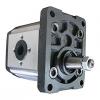 134A7-10301 Pompa idraulica pompa ad ingranaggi per TD27 FD20-30T7 MOTORE TCM carrello elevatore T3 #1 small image