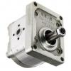 PORSCHE PANAMERA 970 3.6 Power Steering Pump 10 to 16 PAS Bosch 97034704904 New #2 small image