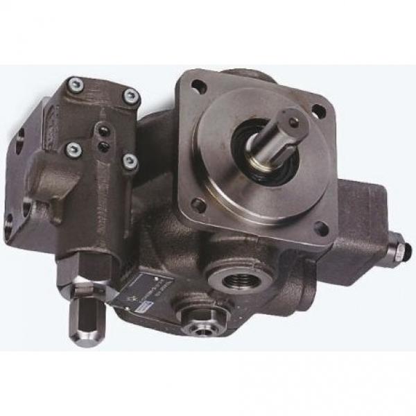 Power Steering Pump fits NISSAN PRIMERA P11 1.8 99 to 02 QG18DE PAS 491102F200 #1 image