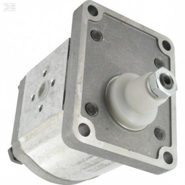 Pompa idraulica ad ingranaggi 30C28X146HF 28cm / MX 0181 #1 image