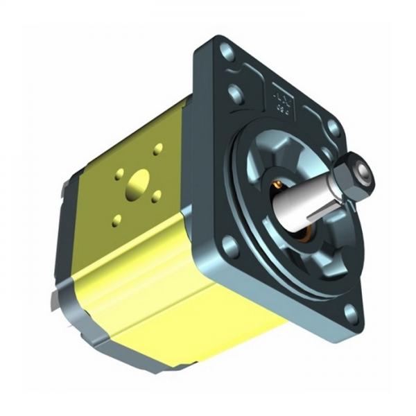 Giunto Scanalato, 1:8 Pompa di Rastremazione connessione per standard di Gruppo 1 POMPA #1 image