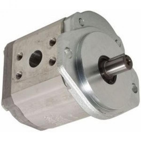 L0009629136 Linde Hydraulic Pump Repair Kit SK50200227JE #2 image
