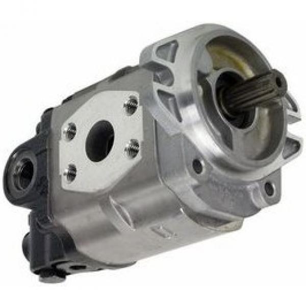 L0009629136 Linde Hydraulic Pump Repair Kit SK50200227JE #1 image