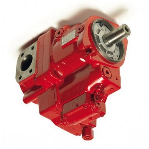 Hydraulic Pump 4445050 Spare parts for Bobcat 753 763 773 Skid Steer Loader #1 image