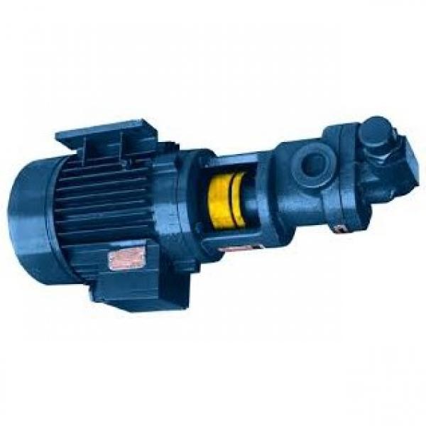 Pompa Elettrica 12V ad ingranaggi - Geoline 8411018  ( electric pump ) #1 image