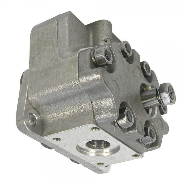 NUOVA pompa idraulica per Ford/NEW HOLLAND 1520 Trattore compatto SBA340450500 #3 image