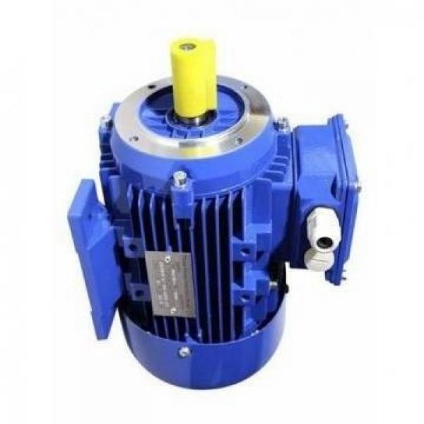 JCB 530 530-67 530-70 530-95 530-110 TELEHANDLER pompa dell'olio di trasmissione idraulica #2 image
